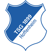 Hoffenheim crest